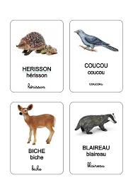 Les Animaux De La Foret Animaux Foret Animaux Vocabulaire Animaux