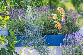 Une jardinière à l'ombre : Fleurs D Ete Jardinieres Fleuries Les Plus Originales Detente Jardin