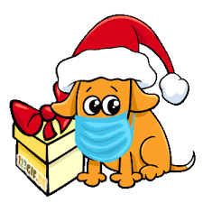 Geburtstagswünsche gif whatsapp geburtstag animation. Kostenlose Hunde Bilder Gifs Grafiken Cliparts Anigifs Images Animationen