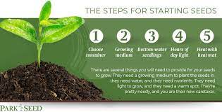 How To Grow Seeds Indoors Park Seed Growing Seeds Seeds Growing