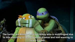 Pin By Etoile Desmers On Tmnt Teenage Ninja Turtles Tmnt Mikey Ninja Turtles