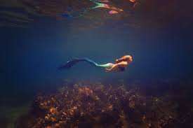 Maui Mermaid Michaela Mermaid Mermaid Life Merman