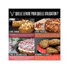 Levure Seche Speciale Pizza 500 G Lesaffre Cerf Dellier