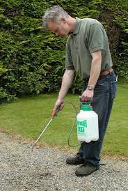 Lawn burn is a myth. How To Kill Weeds 6 Ways To Get Rid Of Them Dengarden