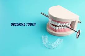 Image result for Occlusal