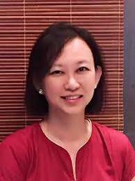 Proceedings IC-HUSO 087 PDF