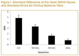 Image result for Balance Error Scoring System