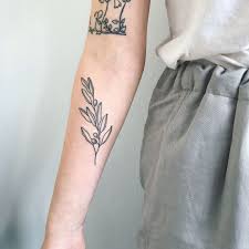 3 618 Likes 16 Comments Kate Holley Kat3roo On Instagram An Olive Branch For Bryanna Always A Pleasur Olive Branch Tattoo Simple Tattoos Branch Tattoo