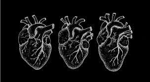 This can make blood pressure rise and put more stress on your heart. Carbohydrate In The Heart Seems To Help Regulate Blood Pressure