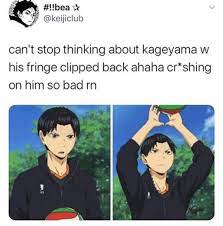 Haikyuu_Memes on Instagram: “He looks like an angry bird I'm sorry- . . . .  [Tags] #haikyuu #haikyuumeme #haikyuumemes #… | Haikyuu, Haikyuu anime,  Haikyuu kageyama