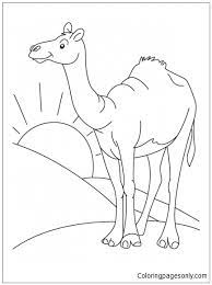 The biggest desert is northern africa's sahara desert; Sahara Desert Coloring Pages Deserts Coloring Pages Coloring Pages For Kids And Adults