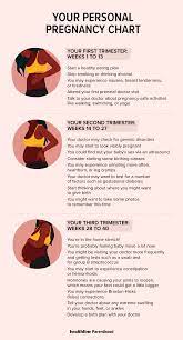 Pregnancy Chart What To Expect Each Trimester