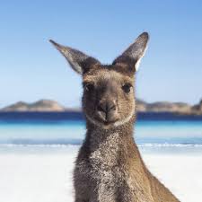 Resultado de imagen de australia