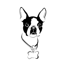Black And White Boston Terrier Cartoon Pin By Desislava Panayotova On Tierarztpraxis Boston Terrier Tattoo Dog Outline Boston Terrier