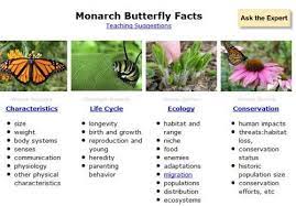 Image Result For Monarch Butterfly Information Facts Monarch Butterfly Facts Butterfly Facts Butterfly Information