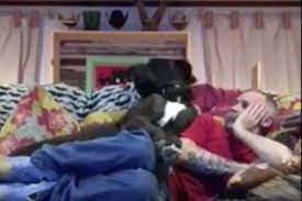 VIDEO: Great Dane refuses to let owner relax, watch TV