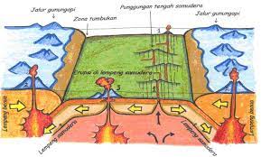 Check spelling or type a new query. Apakah Perbedaan Gempa Vulkanik Dan Gempa Tektonik Terkait Perbedaan