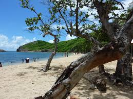 Plage De Pompiere A Terre De Haut Aux Saintes Plage Guadeloupe Saint