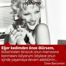 eger kedimden once olursem kullerimden birazcik onun mamasina konmasini istiyorum boylece onun icinde yasamaya devam edebilirim hayvan sozleri hayvan kedi