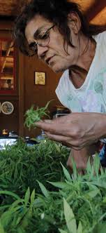 2010 RAND Annual Report: Focus