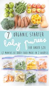 7 Organic Baby Food Recipes For 20 Complete Guide Baby Foode Healthy Baby Food Baby Food Recipes Baby Puree Recipes