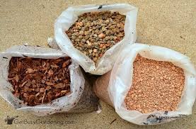Gritty Succulent Soil Mix Makes Growing Succulents A Snap Succulent Soil Growing Succulents Bonsai Soil