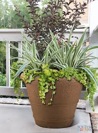 20 Veranda Planter Granite Brown Southern Patio Planters Patio Garden Plants