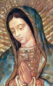 La guadalupana, en honor a mi santa y a nuestra señora de guadalupe, y acabe esta pandemia, amén. Virgen De Guadalupe Maria Madre De Misericordia Madre De La Iglesia Ruega Por Nosotros Virgen De Guadalupe Guadalupe Virgen De Guadalupe Animada