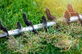 Im folgenden artikel wird darauf eingegangen, wann und wie man genau vertikutiert um einen… Rasen Vertikutieren Die 10 Wichtigsten Tipps