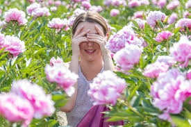 Our peonies are sold at flowering maturity. Primrose Hall Peonies The Peony Experts