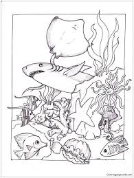 Marine Life Under The Ocean Floor 1 Coloring Page Free Coloring Pages Online Animal Coloring Pages Detailed Coloring Pages Fish Coloring Page