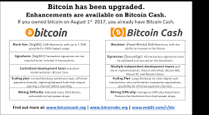 With any bitcoin price change making news and keeping investors guessing. Bitcoin Infographic Why Didnt I Get Bitcoin Cash 10 Skup Metali Kolorowych