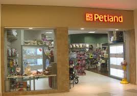 Apr 20, 2021 · imac. Twelve Oaks Mall Petland Oaks Mall Novi Dog Supplies