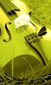 Blog Not Found Chartreuse Shades Of Green Simple Green