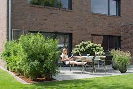 Der Perfekte Sichtschutz Die Funf Besten Tipps Willkommen In Franks Kleinem Garten Sichtschutz Terrasse Kleiner Garten Bepflanzung