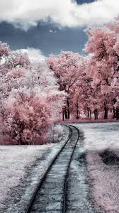 Maybe you would like to learn more about one of these? Cute Winter Wallpaper Kolpaper Awesome Free Hd Wallpapers