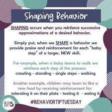 Functions Of Behavior Bias Behavioral Interventions In 2020 Behavior Intervention Plan Challenging Behaviors Aba Therapy For Autism