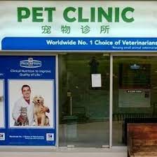Services animal clinic of alamo plaza pet clinic practices at 120 alamo plaza, alamo, ca 94507. Pet Clinic Home Facebook