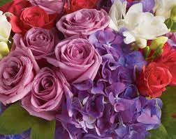 Maybe you would like to learn more about one of these? Phillip S Flowers Gifts