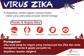Namun jika penanganannya tidak tepat, tingkat kematian bisa mencapai 20 persen. Zika Kementerian Kesihatan Malaysia Portal Myhealth Facebook