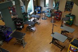 Maybe you would like to learn more about one of these? Mscc Michigan School Of Canine Cosmetology