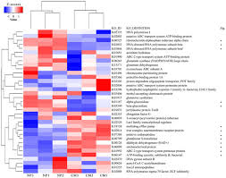 Maybe you would like to learn more about one of these? Ijms Free Full Text Comparative Metagenomic Analysis Of Rhizosphere Microbial Community Composition And Functional Potentials Under Rehmannia Glutinosa Consecutive Monoculture Html