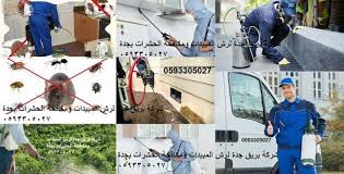 فكرة عامة عن الحشرات واضرارها للإنسان مكافحة الحشرات والقضاء عليها رش المبيدات بطريقة صحيحة وآمنة الخدمات الت Pest Control Pest Control Services Baseball Cards