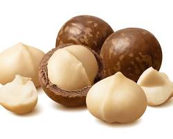 Image of Macadamia nuts
