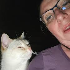 How can I get help with transportation and supplies for my horses after a  barn fire in Round Hill?