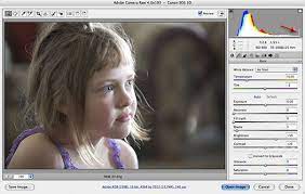 Adjusting Exposure In Adobe Camera Raw Photoshop Cs3 Tutorial Mark Galer Adobe Camera Raw Camera Raw Photoshop