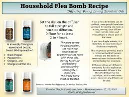 Flea Bomb Living Essentials Oils Essential Oils For Fleas Flea Remedies
