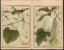 ヒョウタン Wikipedia