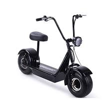 Bird Es1 300 Electric Scooter Battery Pin On Products