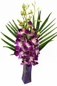 Calgary Creative Edge Flowers Orchid Arrangements Purple Orchids Orchids